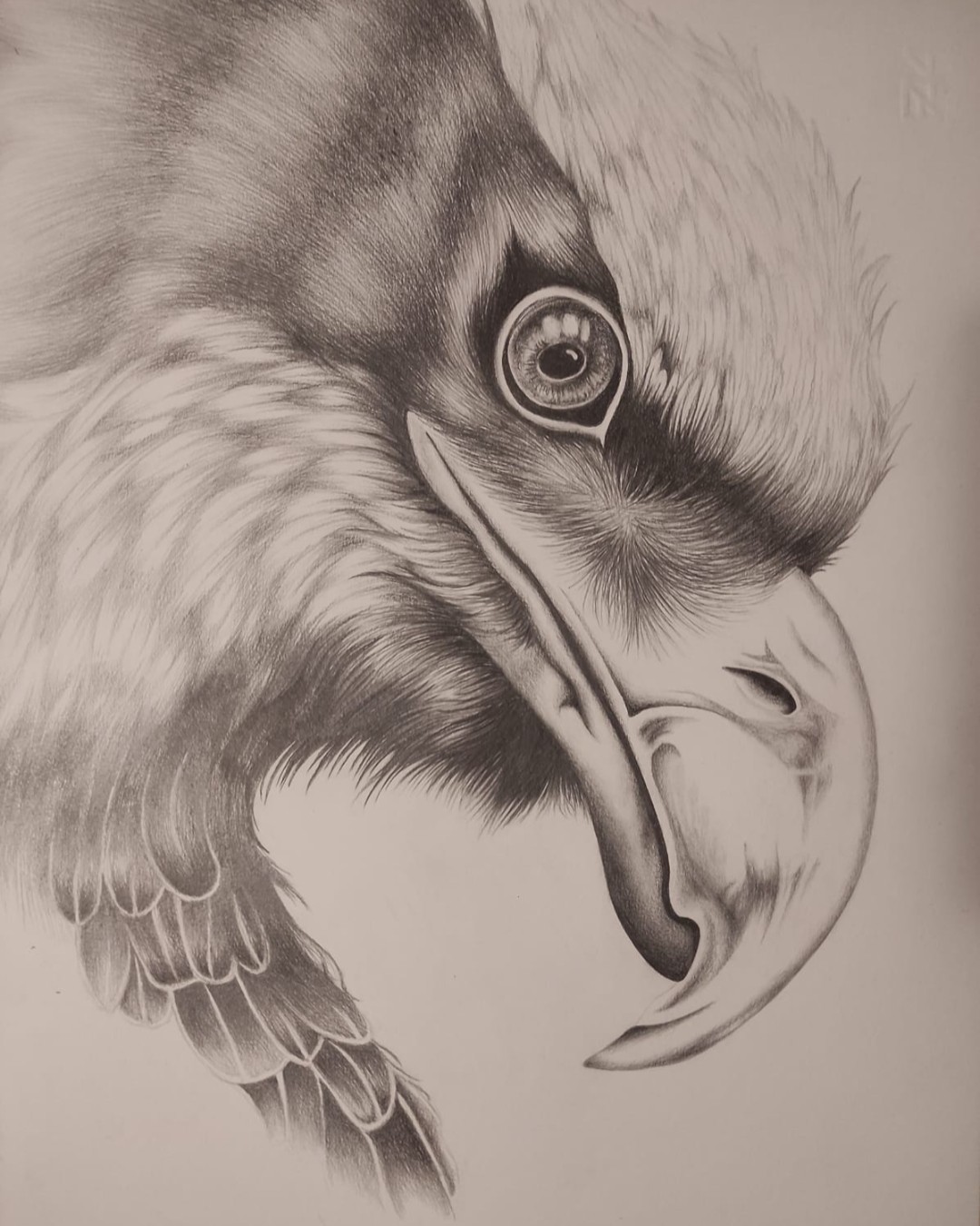 disegno il trono di spade